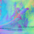 Load image into Gallery viewer, Snow Bunny Retreat 2025
